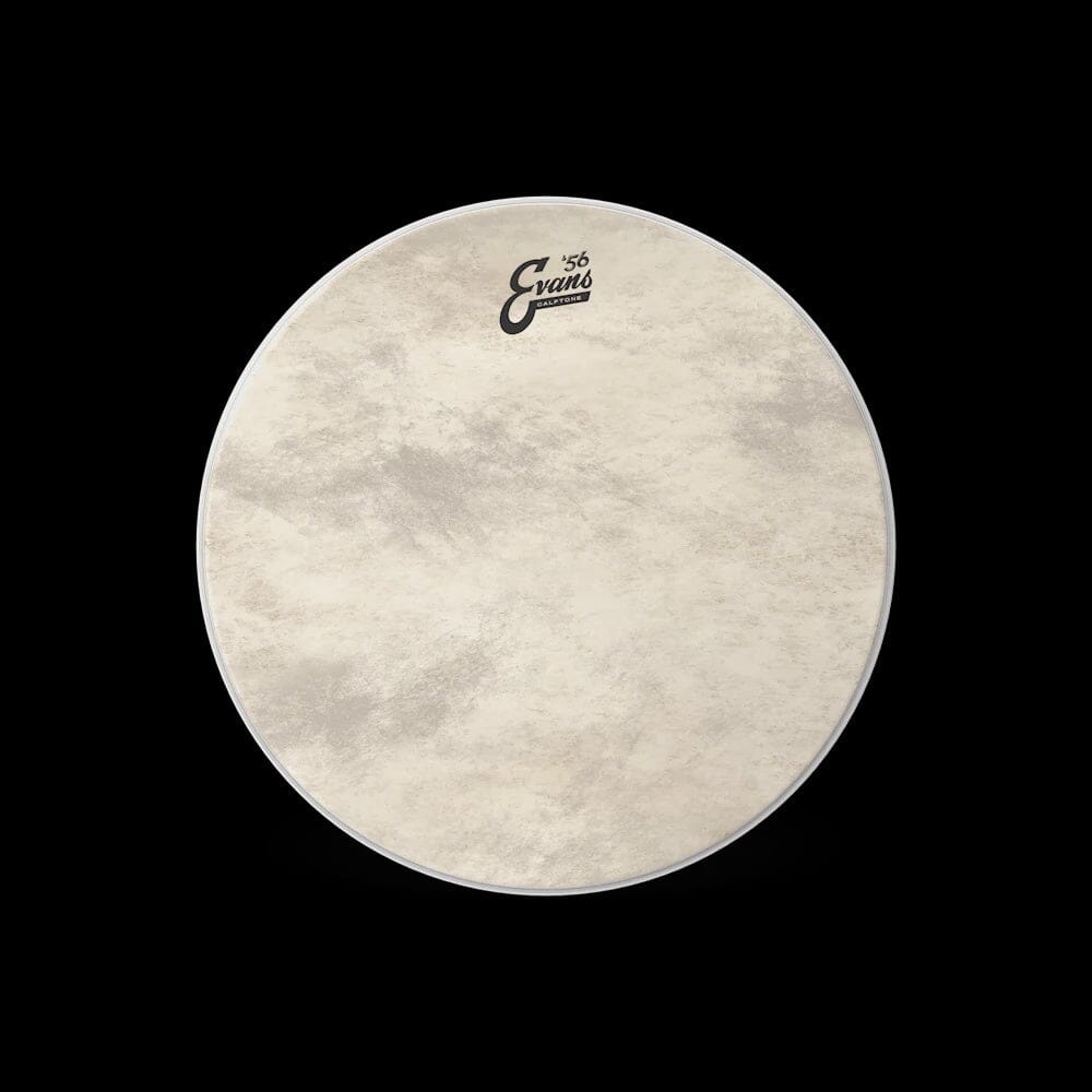 Evans 16" Calftone Bass Drum Head, Bass Hoop (BD16CT) DRUM SKINS evans