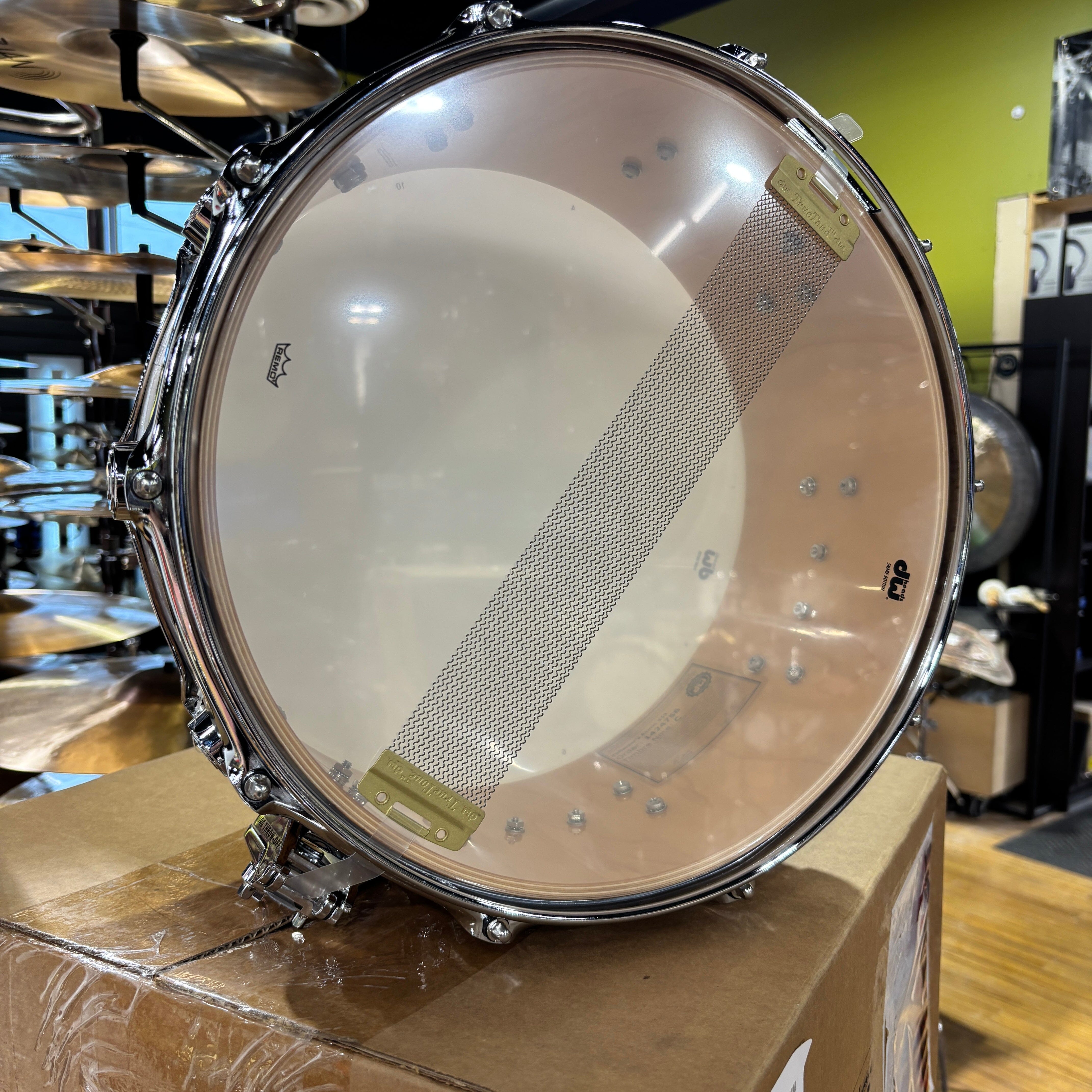 DW 6.5 x 14" Snare Drum, Exotic (DR366514SSC) NEW SNARE DRUMS DW 