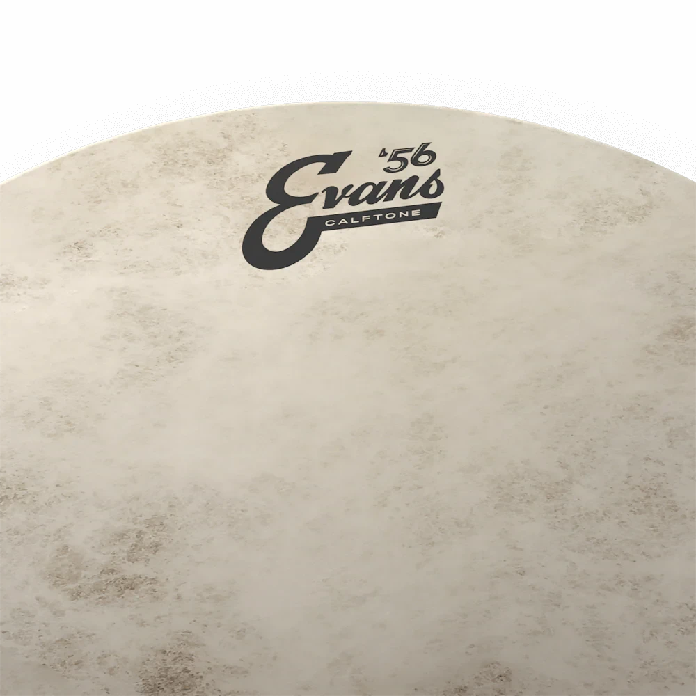 Evans 12" Calftone Drum Head (TT12C7) DRUM SKINS evans 