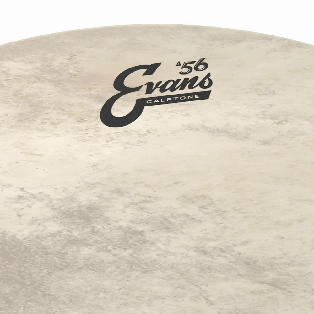 Evans 16" Calftone Bass Drum Head, Bass Hoop (BD16CT) DRUM SKINS evans 