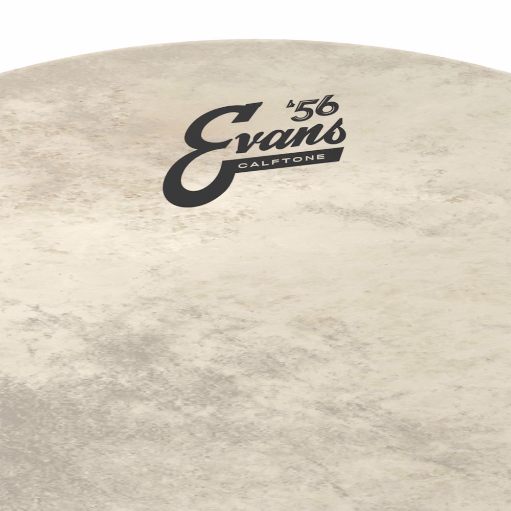 EVANS 22" Calftone Bass Drum Head (BD22CT) DRUM SKINS evans 