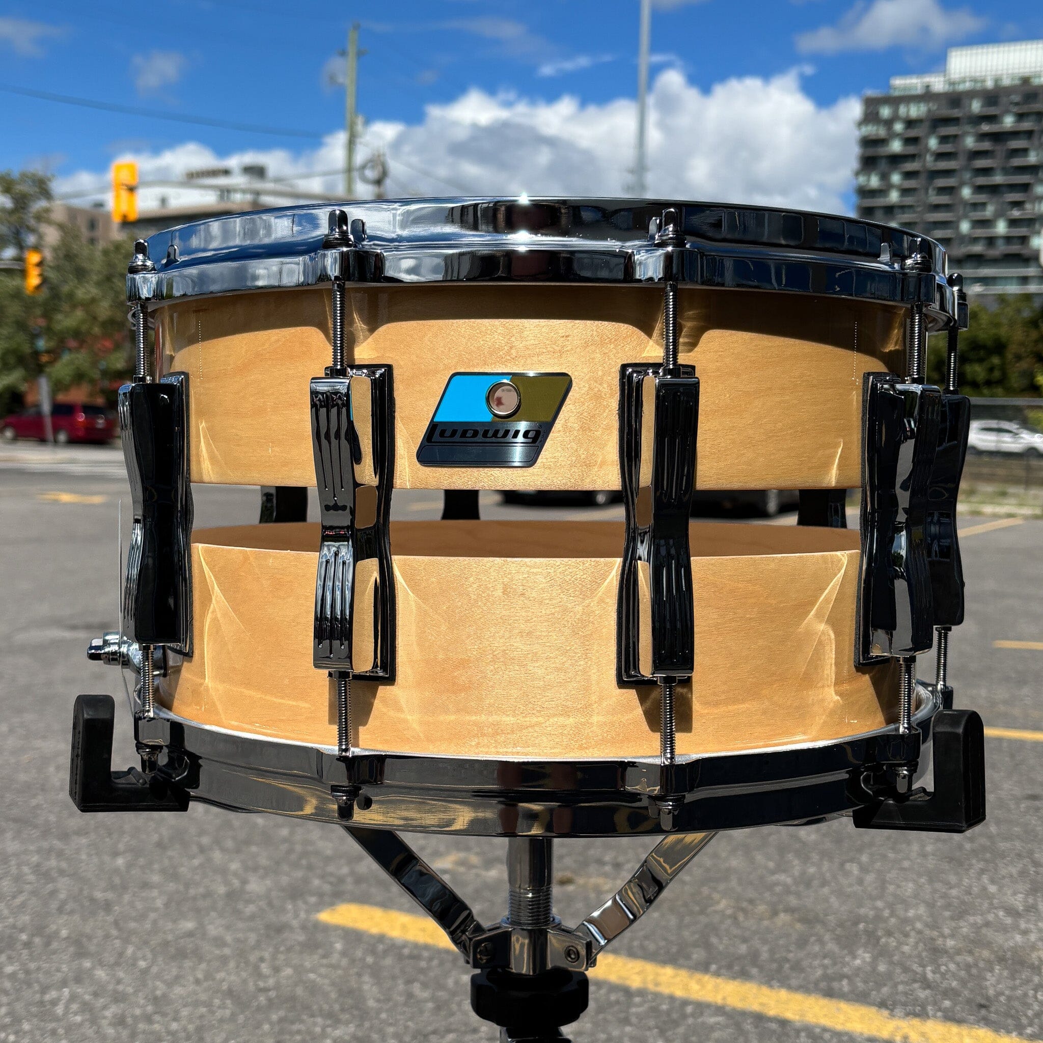 ludwig-14x8-slotted-coliseum-