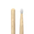 Promark Attack 727 Drum Sticks, Lacquered Shira Kashi Oak w/ Nylon Tips (PW727N) DRUM STICKS Promark 