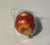 Remo Fruit Shakes, Apple NEW PERCUSSION Remo 