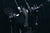 Tama Iron Cobra 600 Double Pedal Dark Shadow Edition, Limited Product (HP600TWMB) NEW HARDWARE Tama 