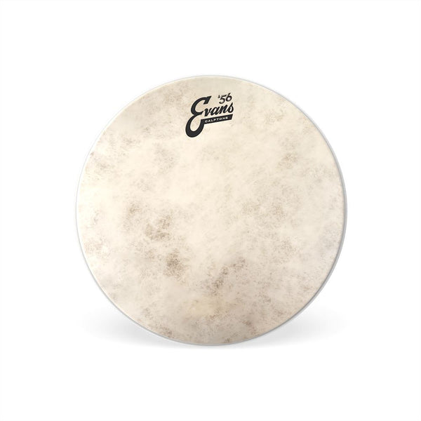 Evans 13" Calftone Drum Head (TT13C7) Drum Heads evans 