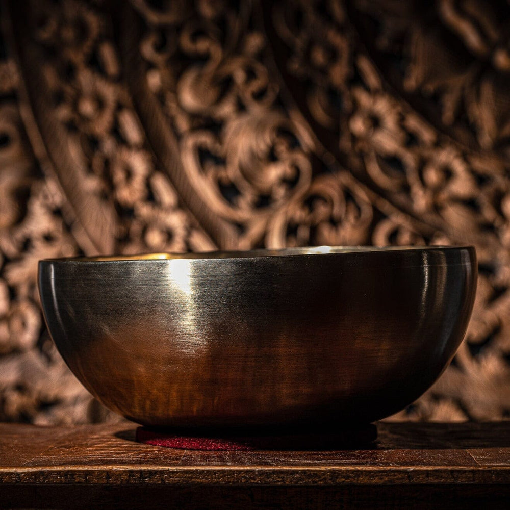 MEINL Sonic Energy Singing Bowl - ENERGY SERIES - ~ 11.4" / ~ 28.9 cm ~ 77.6 oz / ~ 2200 g (SB-E-2200) percussion Meinl 