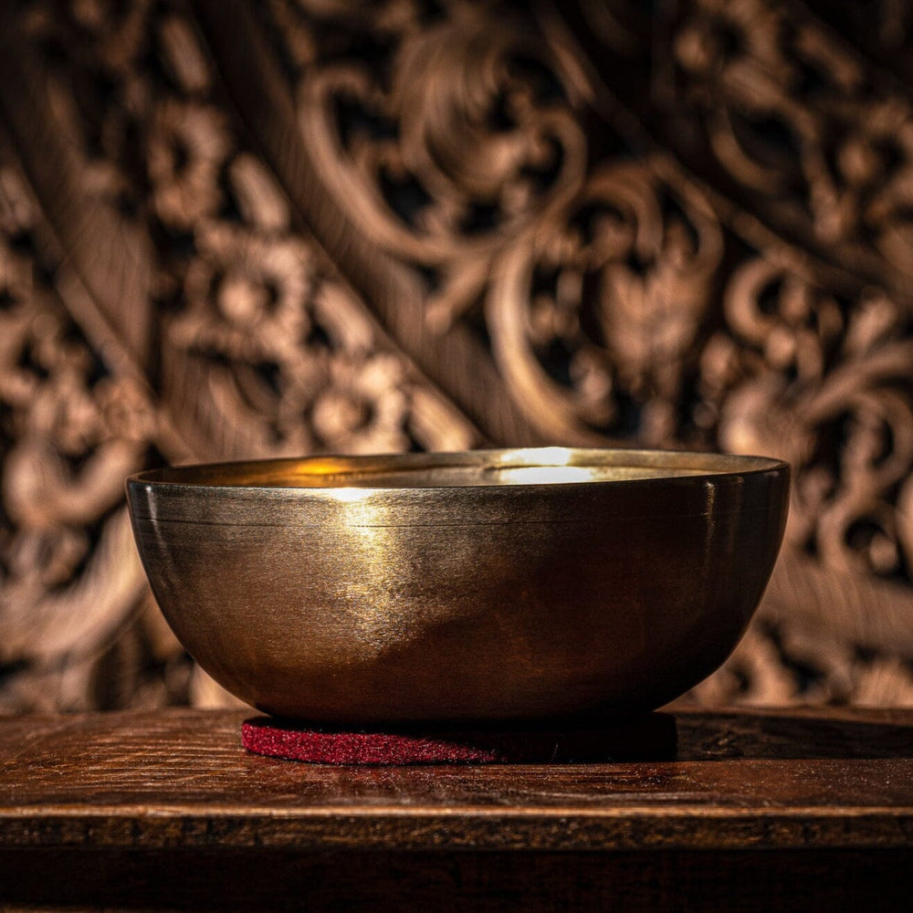 MEINL Sonic Energy Singing Bowl - ENERGY SERIES - ~ 7.8" / ~ 19.9 cm ~ 37 oz / ~ 1050 g (SB-E-1000) percussion Meinl 