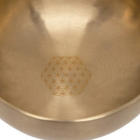 Thumbnail for MEINL Sonic Energy Synthesis Series Flower of Life Singing Bowl - 1000g (SB-S-FOL-1000) percussion Meinl 